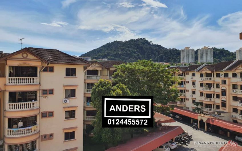Springfield Condo Sungai Ara, Nice Unit Fully Furnish and renovated CHEAPEST SPICE FTZ AIRPORT