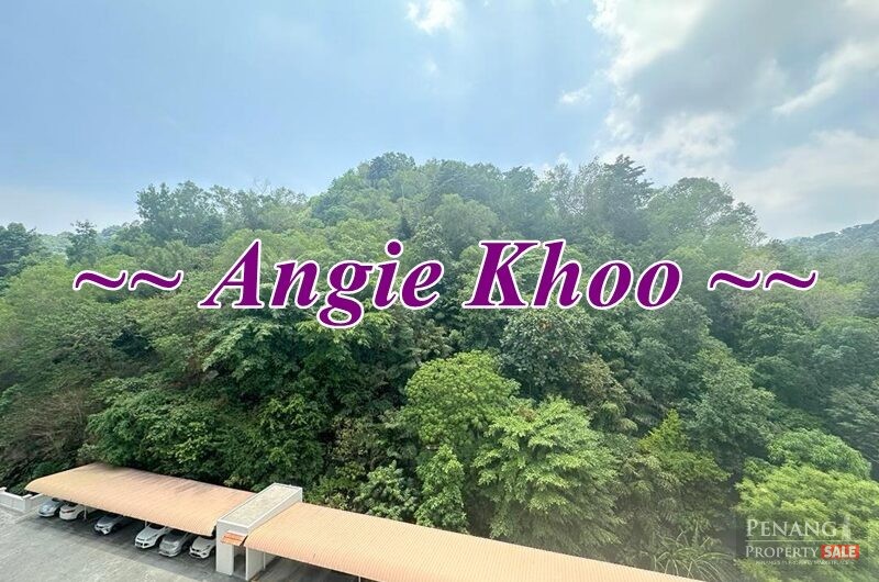 Regency Height Sungai Ara 1258sqft Furnished and renovated Hill View